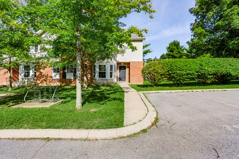 A tree stands in front of a building with a playground in the foreground.