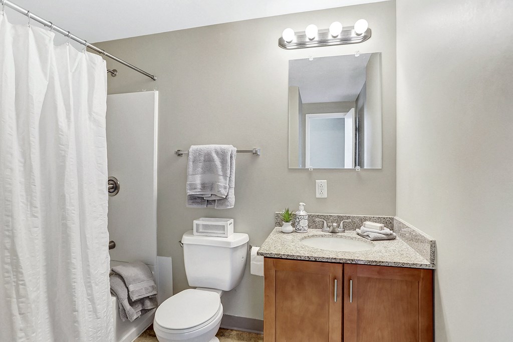 a bathroom with a shower toilet and sink and a mirror