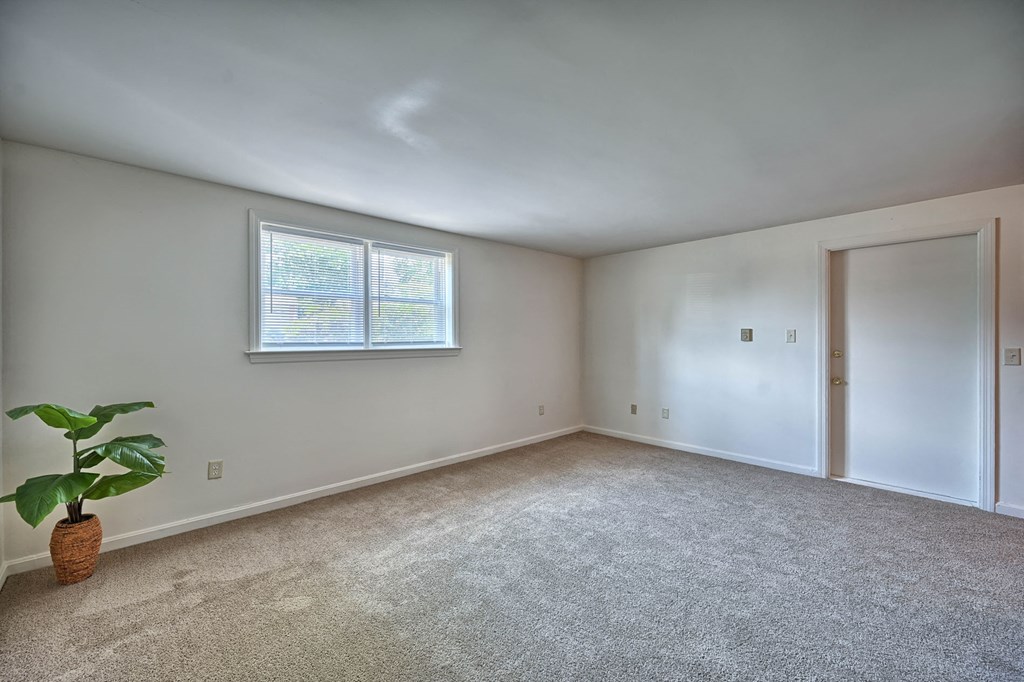 an empty room with a potted plant in the corner