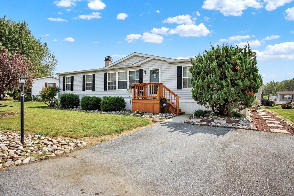 the front of the house with a driveway and a large tree in the front yard