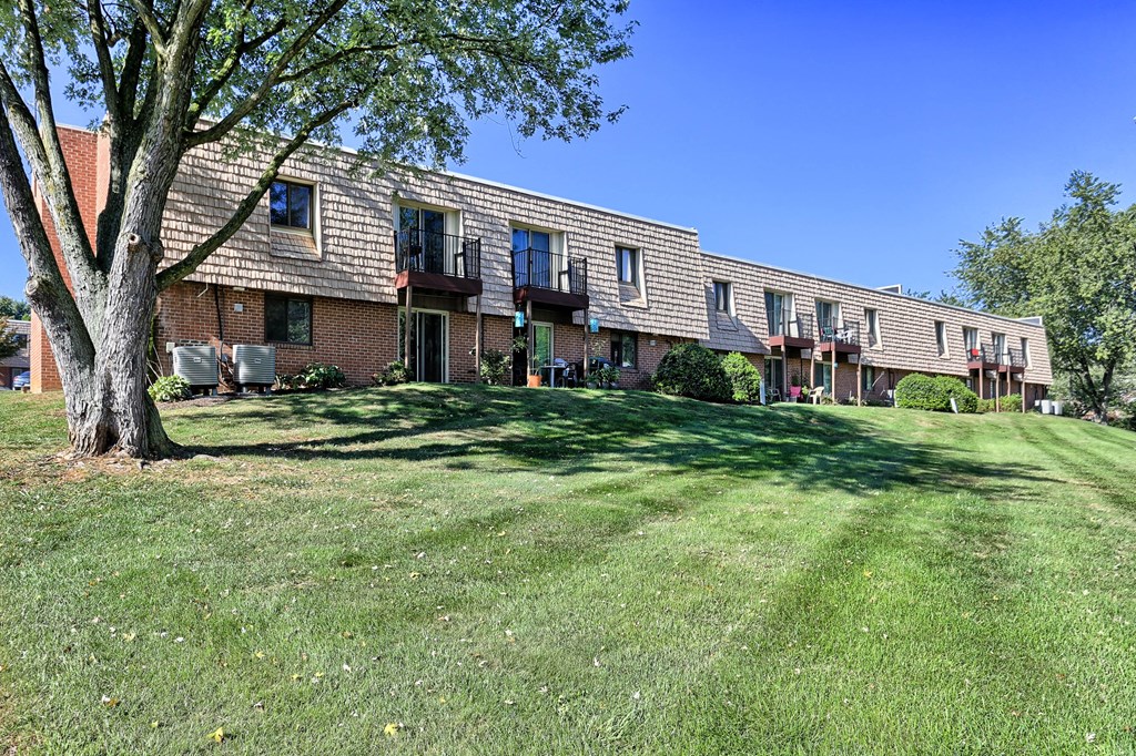 A tree stands in front of a brick building with a lawn in the foreground.