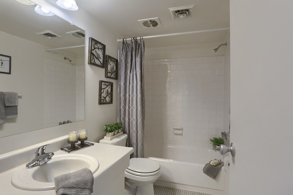 Harrisburg Apartment | Twin Lakes Apartments | this is a photo of the bathroom
