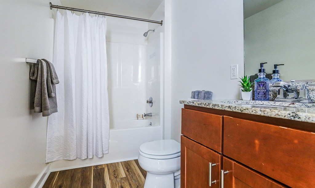 a bathroom with a shower and a toilet and a wooden vanity