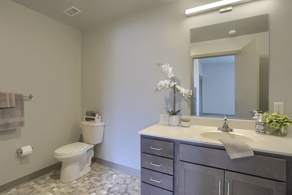 Mount Joy Senior Housing | a bathroom with a toilet sink and mirror
