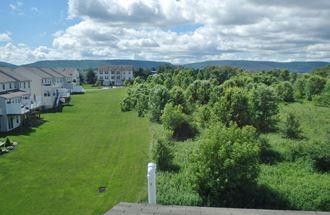 the view of the yard from the roof of the house