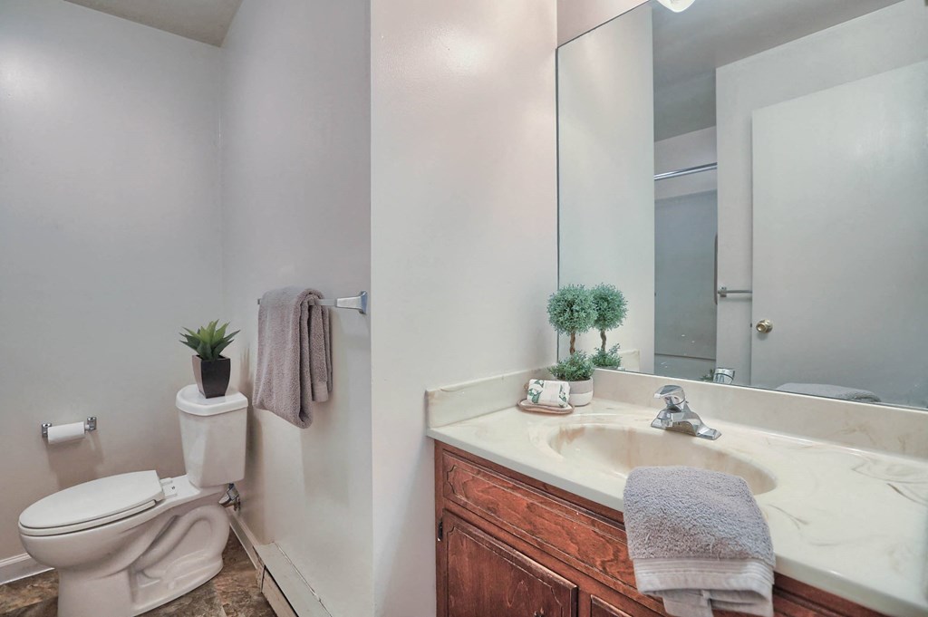 a bathroom with a toilet sink and a mirror