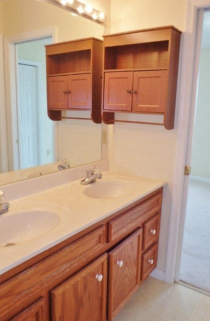 a bathroom with a sink and a mirror