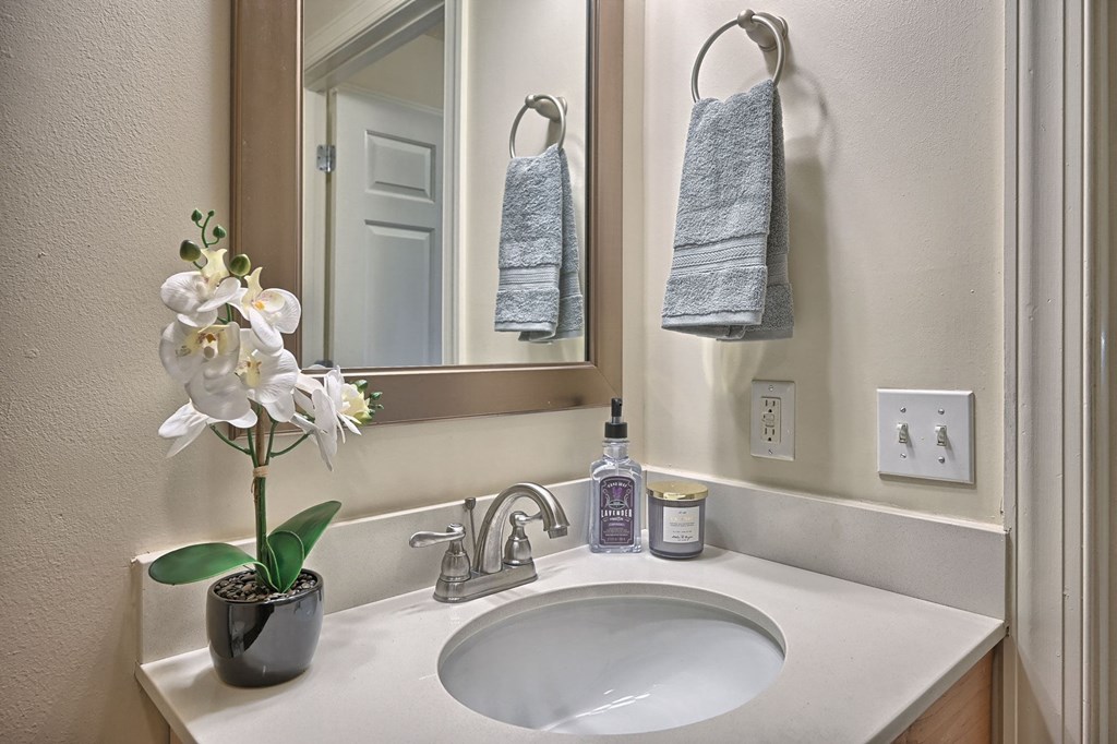 One Bedroom Mechanicsburg Apartments For Rent at Graham Hill