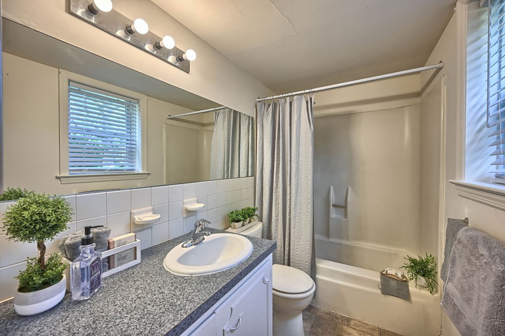 a bathroom with a sink and a toilet and a shower