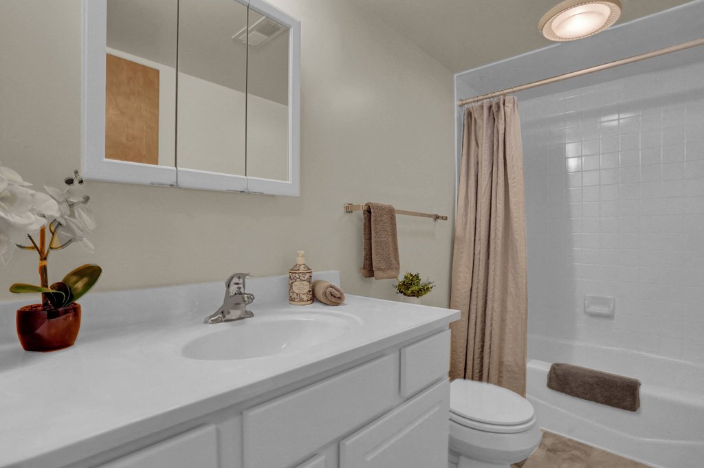 a bathroom with a sink and a shower and a toilet