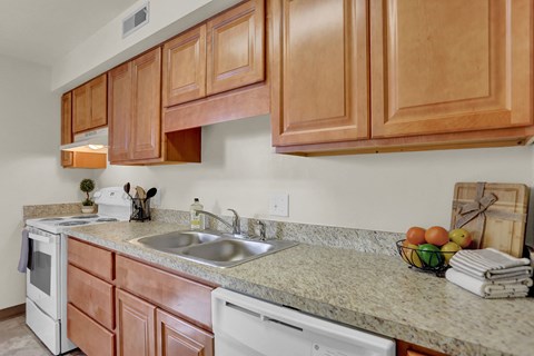 a kitchen with wood cabinets and granite counter tops and a sink