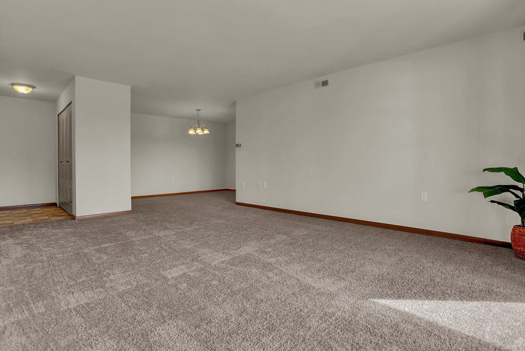 an empty living room with white walls and a potted plant