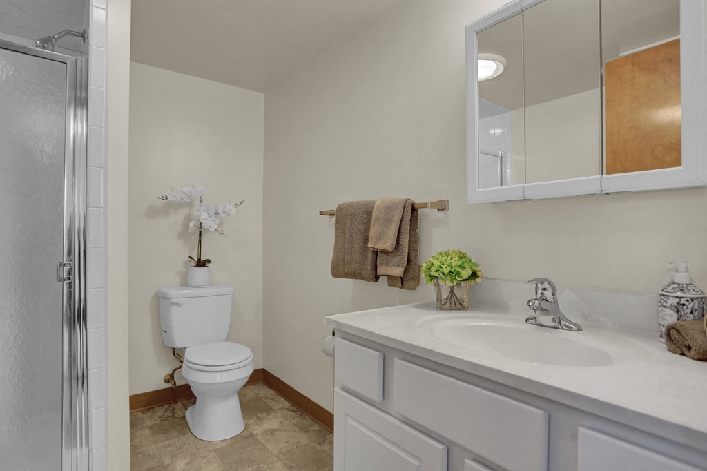 a bathroom with a toilet and a sink and a shower