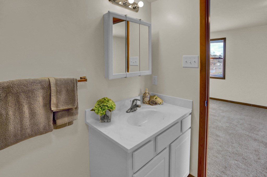 a bathroom with a white sink and a mirror