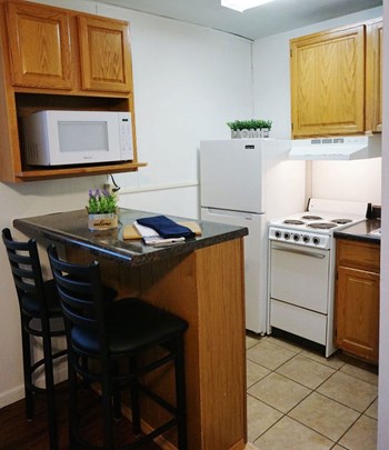 600 West College Avenue Studio Apartment, Student for Rent - Photo Gallery 5