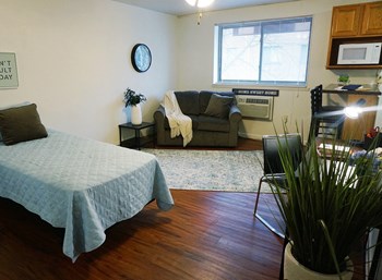 600 West College Avenue Studio Apartment, Student for Rent - Photo Gallery 2
