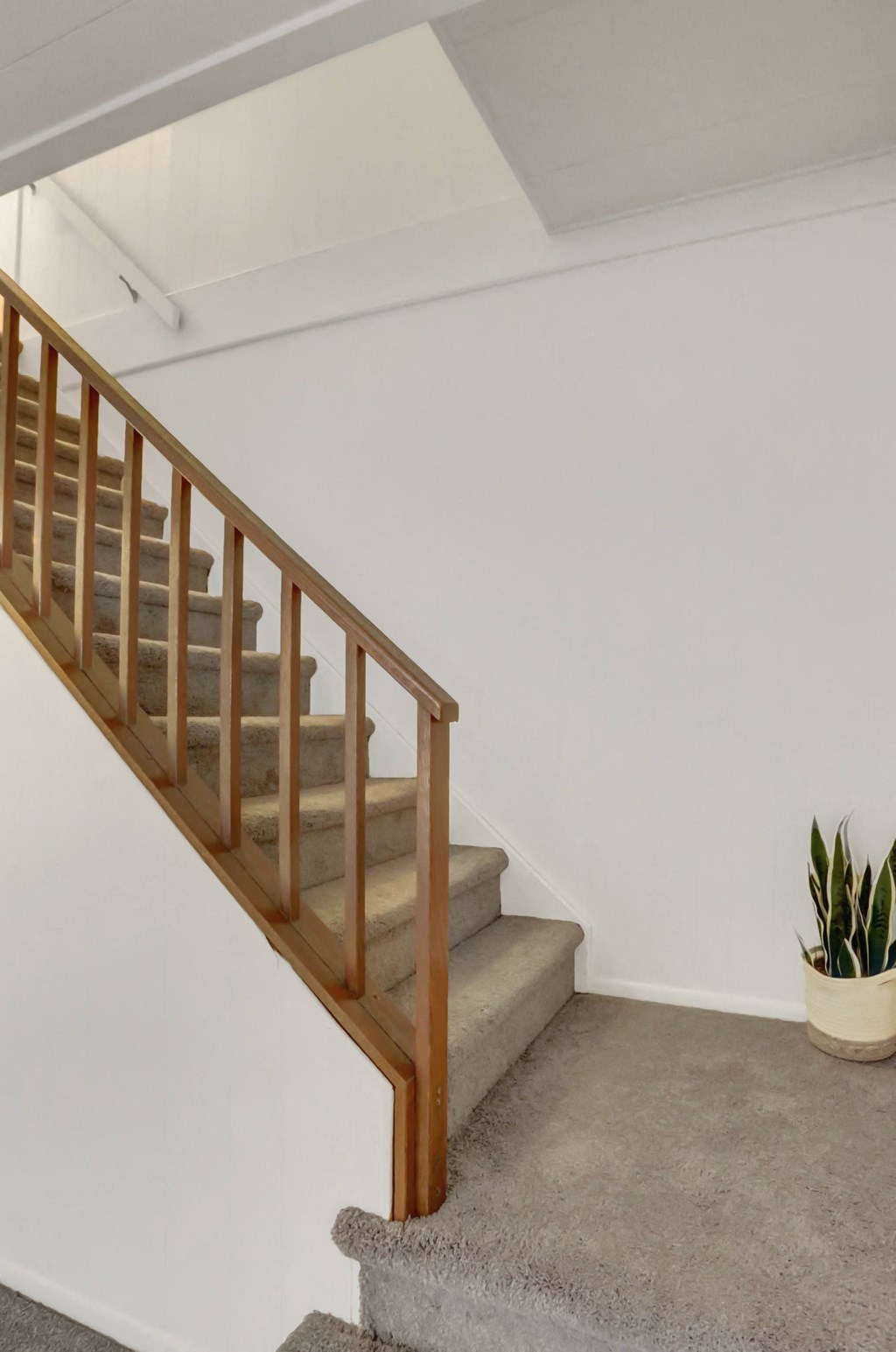 Apartment in Williamsport | Woodland Park Apartments in Williamsport | Williamsport Apartments