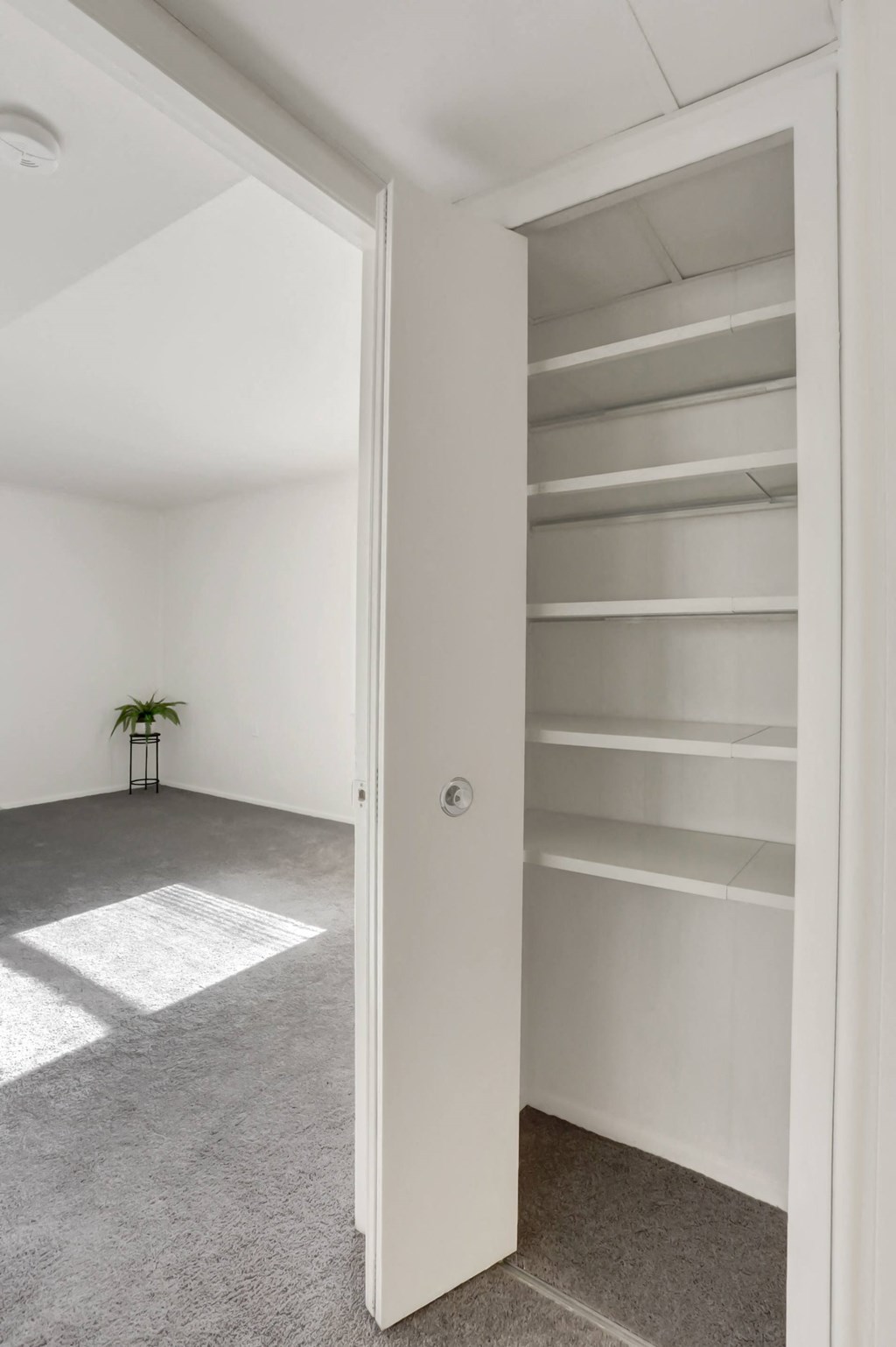 Two Bedroom Apartment in Williamsport | Woodland Park Apartments in Williamsport | Williamsport Apartments