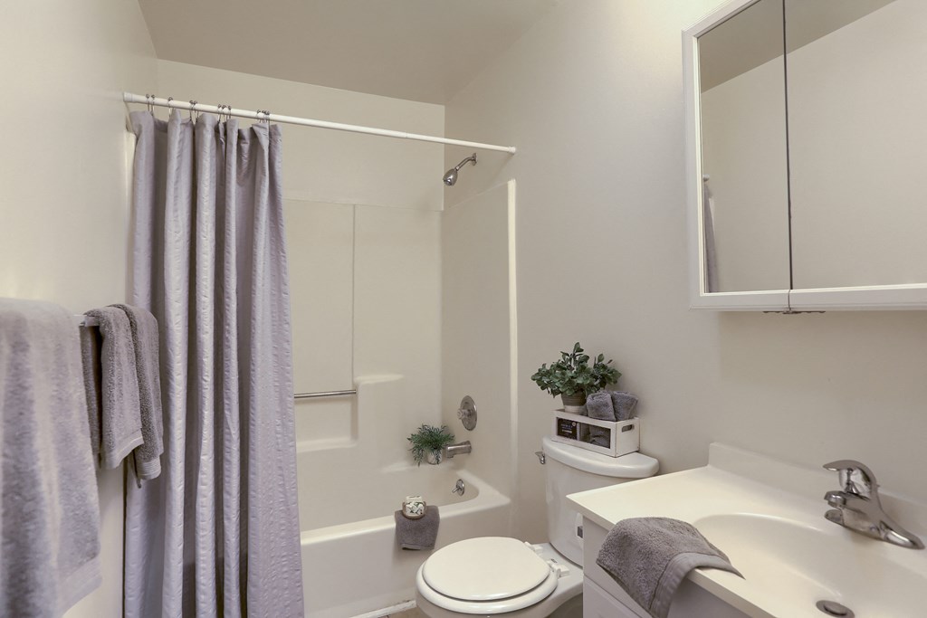Bathroom | Charleston Estates | Apartments in Mechanicsburg