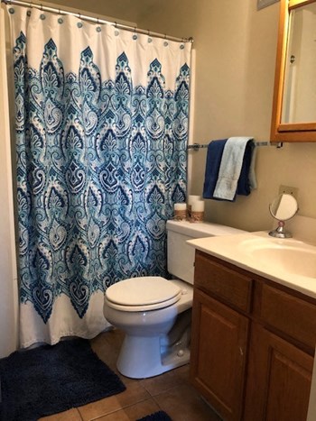317 E. Beaver Street Studio-1 Bed Apartment, Student for Rent - Photo Gallery 8