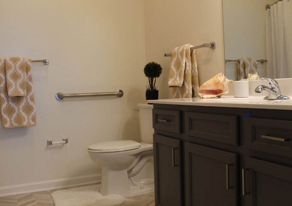 a bathroom with a toilet and a sink and a mirror
