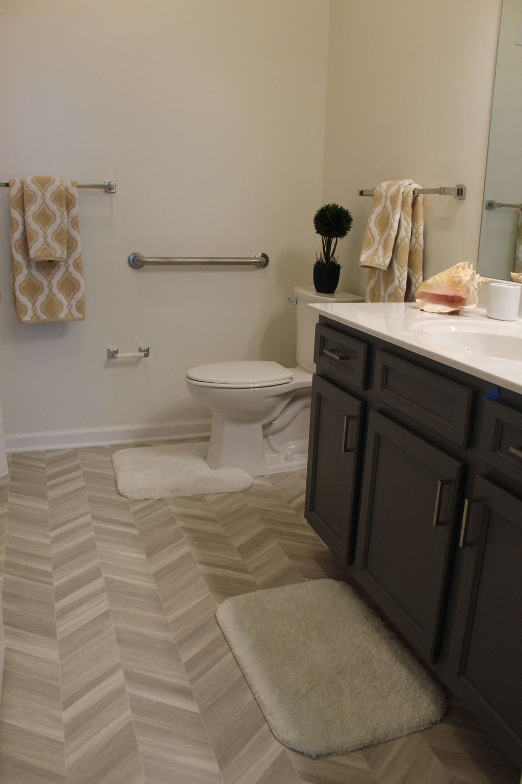 a bathroom with a toilet and a sink and a rug
