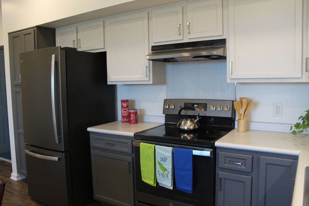 a kitchen with black appliances and white cabinets and a black refrigerator