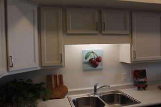 102 West Cherry Lane 1-3 Beds Apartment, Affordable for Rent - Photo Gallery