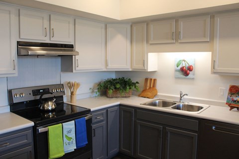 a kitchen with white cabinets and black appliances and a sink