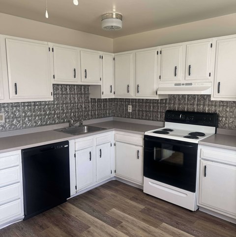 A kitchen with white cabinets and a black dishwasher.