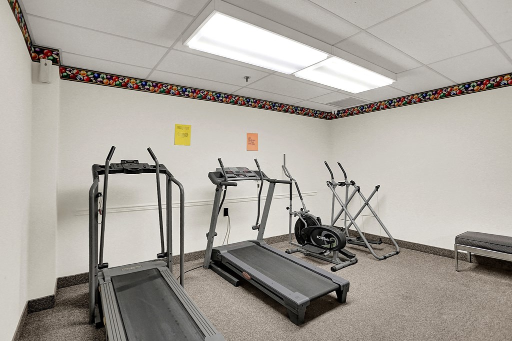 a fitness room with treadmills and weights