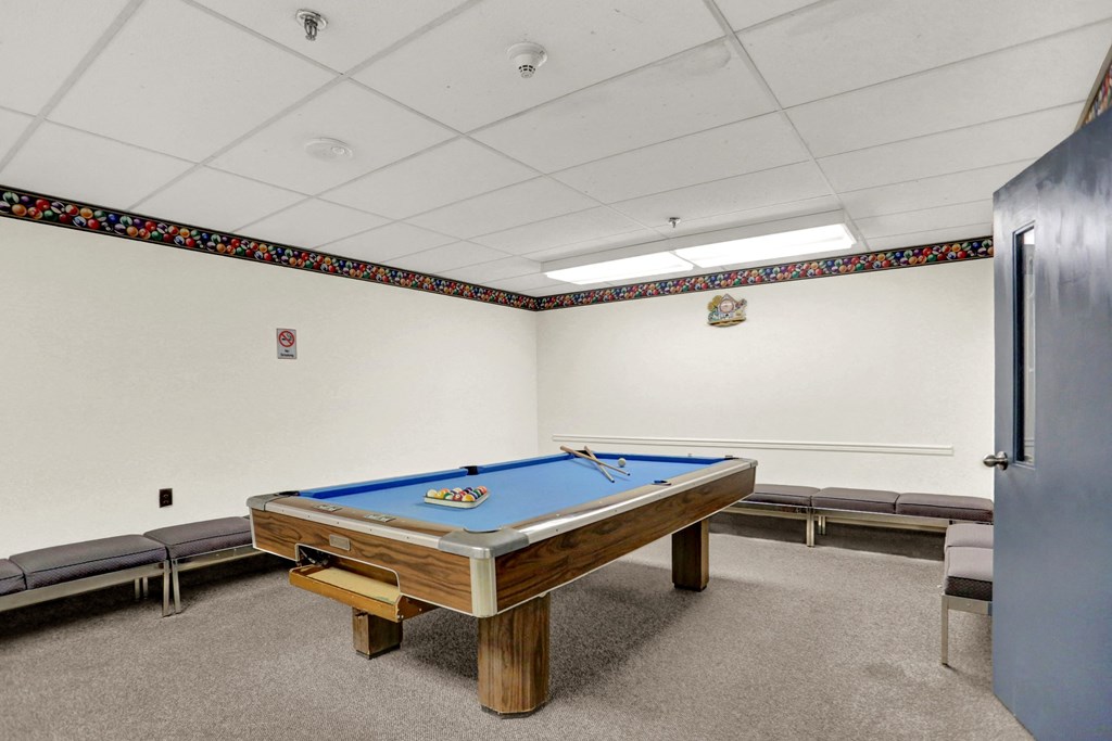 a games room with a pool table