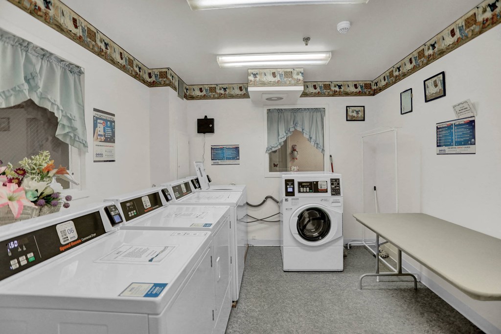 a laundry room with washing machines and a table with a vase of flowers