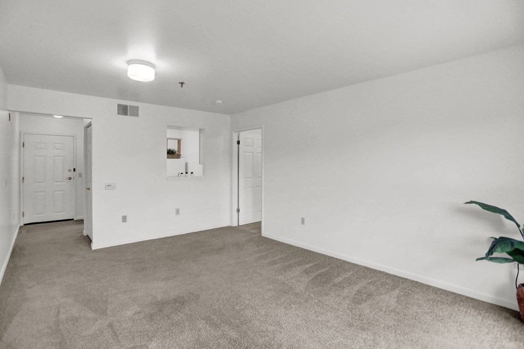 a bedroom with white walls and carpet