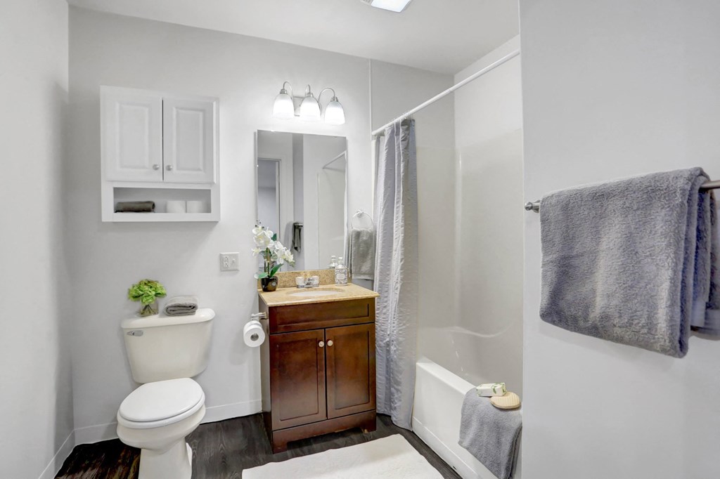 a bathroom with a toilet sink and shower and a mirror