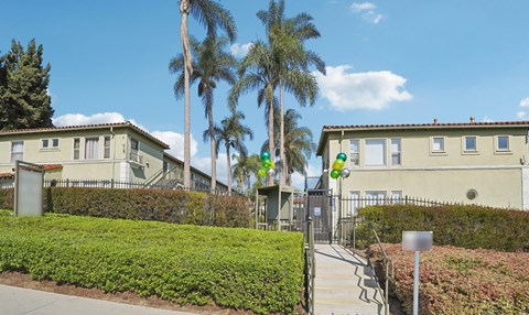 A sunny day at a residential area with houses and palm trees.