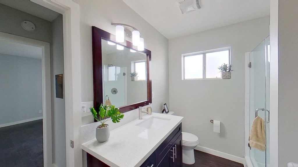 a bathroom with a sink and a mirror and a toilet