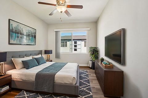 A bedroom with a bed, a ceiling fan, a nightstand, a plant, and a television.