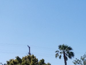 Ladera Townhome California Rental Community