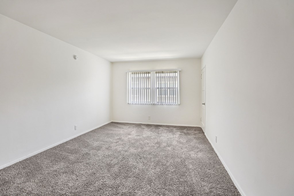 A room with a carpeted floor and a window with blinds.