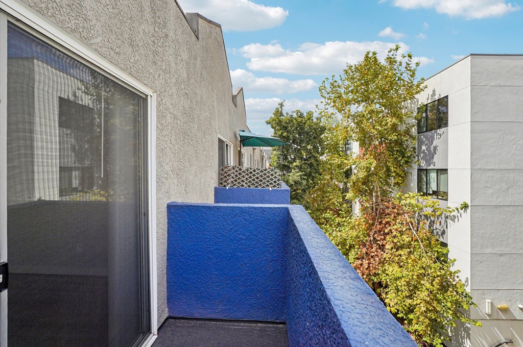 A blue wall with a black door and a window.