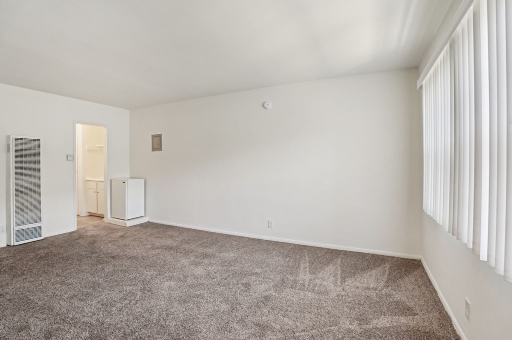 A room with a carpeted floor and a window with blinds.
