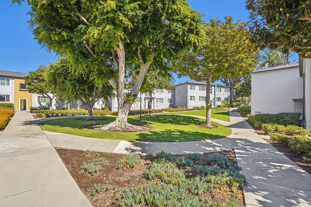 A tree in a grassy area in front of apartment buildings.