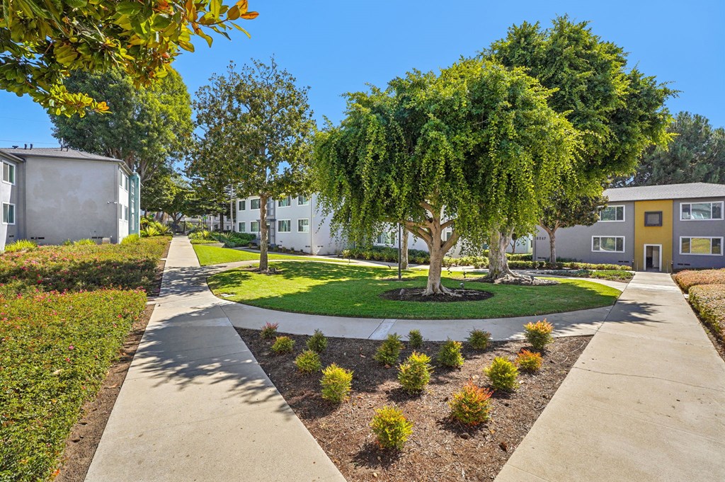 A tree-lined walkway leads to a building with a yellow door.