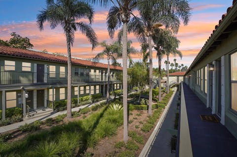 A row of houses with a blue sky and palm trees in the background.