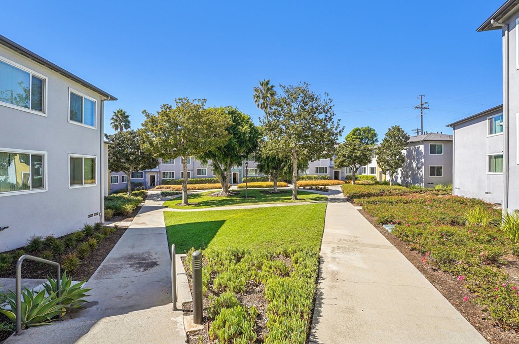 A sunny day in a residential area with houses, trees, and a clean pathway.