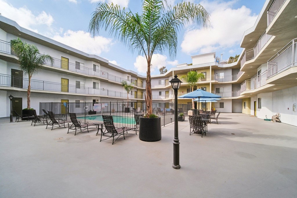 A pool area with chairs and a palm tree in the middle.