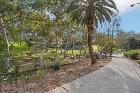 A park with a pathway, trees, and benches.