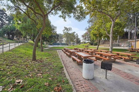 A park with benches and trees.