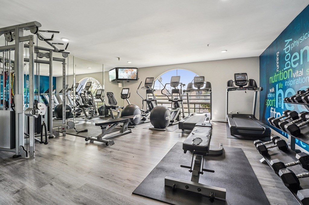 A gym with a variety of equipment including treadmills, weights, and exercise machines.
